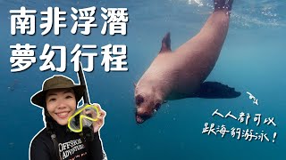 【南非系列】浮潛找海豹一起游泳！南非太好玩了吧！ [upl. by Charley784]