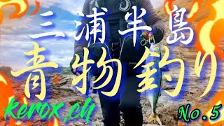 三浦半島 青物釣り釣り自然 海釣り [upl. by Ellora157]