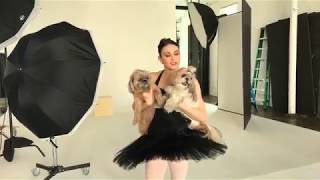 Dancers and Dogs Photo Shoot With ABTs Sarah Lane LIVE [upl. by Bohner]