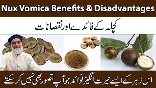 Nux Vomica Benefits amp Disadvantages Urdu  Kuchla Ke Fayde Aur Nuksan  AlRazaqi Health Recover [upl. by Todd]