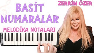 Zerrin Özer  BASİT NUMARALAR Melodika Notaları [upl. by Nevek]