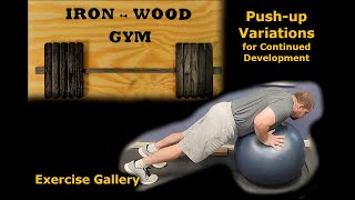 Push up Variations for Continued Development [upl. by Sikorski]