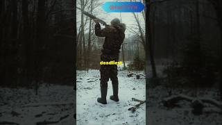 The DEADLIEST Sniper in History interestingfactsGologin [upl. by Baumann]