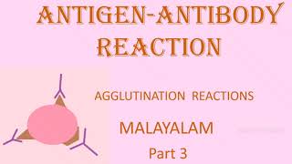 AGGLUTINATION REACTION ANTIGENANTIBODY REACTION PART 3 MALAYLAM [upl. by Standush]