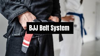 BJJ Belt System [upl. by Defant]