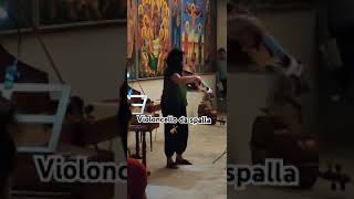 Violoncello da Spalla VioloncellodaSpalla violadaspalla cello cellist liveconcert violist [upl. by Eiltan]