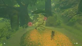 BotW  Finding Hestu Lost Woods [upl. by Anytsyrk]