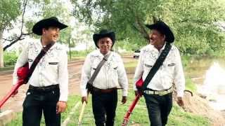 Los Compadres De Sinaloa VuelveRegresa Ya Dir Carlos Rodriguez [upl. by Osgood91]