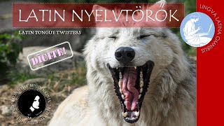 Latin nyelvtörők  Lingua Latina Omnibus – Latin nyelv mindenkinek [upl. by Wilder]