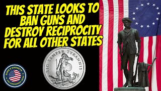 This State Looks To Ban Guns amp Destroy Reciprocity For All Other States [upl. by Nanor]