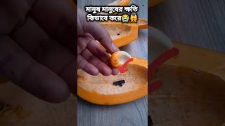 আহারে জীবন আহারে অহংকার। মানুষ মানুষের ক্ষতি কিভাবে করে থাকে😭 trending [upl. by Agostino]