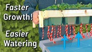 Seed Starting  Cloning Tray Wicking System for Nursery Pots SelfWatering DIY SIP Tutorial [upl. by Ettenoj]