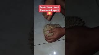 belah duren durianlokal belahduren durian [upl. by Bennion963]