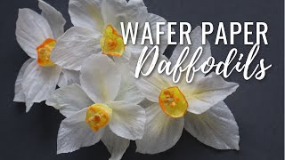 How to Make Wafer Paper Daffodils  free template download Wafer Paper Friday Ep 3 [upl. by Gordy]