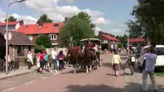 Paardenmarkt Alblasserdam 2008 [upl. by Artimed]