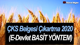 ÇKS Belgesi Çıkartma 2022 EDevlet BASİT YÖNTEM [upl. by Akimak]