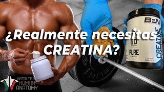 ¿Qué hace la creatina en el cuerpo [upl. by Terese]