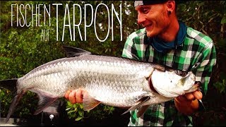 TARPON FISHING  Kurzclip Angeln auf Tarpon  Topwater [upl. by Renado231]