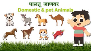 पालतू जाणवर  Domestic amp Pet Animals in hindi and english  kids Learning [upl. by Amle]