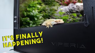 Unboxing the Ultimate Gecko Enclosure  Viperia PVC Tanks [upl. by Rexford588]