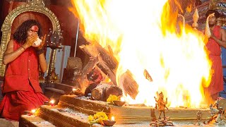 🙏🔱🕉️Maa Aghorakali hawan 🔴 Live Darshan 🔥🕉️🔱🙏 [upl. by Reyna]