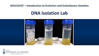 DNA Isolation Lab Demo Video [upl. by Rachel]