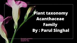 Acanthaceae Family  Acanthus Family   uptgtbiology By  Parul Singhal [upl. by Gnah898]