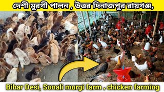 Desi farming west bengalBihar desi Sonali murgi farm agriculturediary [upl. by Pepita892]