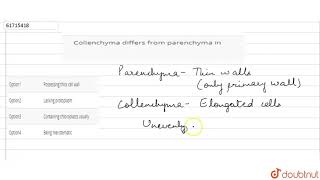 Collenchyma differs from parenchyma in [upl. by Analaj]