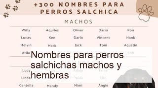 300 nombres para perros salchichas machos y hembras  ¡Ideas originales [upl. by Assili]