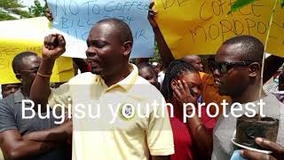 Bugisu Youth protest over coffee Amendment Bill 2024 [upl. by Baldwin]