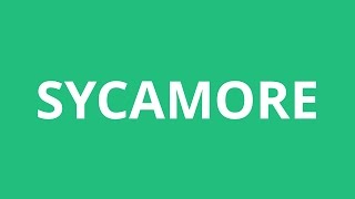 How To Pronounce Sycamore  Pronunciation Academy [upl. by Oiziruam]