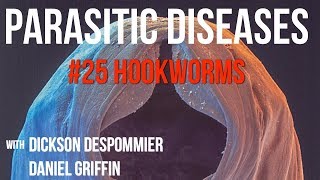 Parasitic Diseases Lectures 25 Hookworms [upl. by Ludovick]