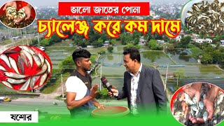 ভালো জাতের মাছের পোনা আবার দামেও কম চ্যালেঞ্জ করে যশোরের চাঁচড়া বাজারে সজীব এর খামারে fish farm [upl. by Llenrap593]