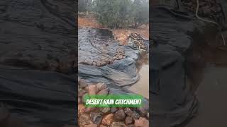 Rainwater Harvesting in the Desert Winter in Northern Arizona [upl. by Columba]