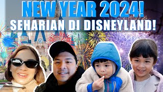 TAHUN BARUAN DI DISNEYLAND JEPANG❗ HAPPY NEW YEAR 2024❗❗ [upl. by Wilhelmina]