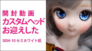 ［開封動画］ カスタムヘッドをお迎えした ドルフィードリーム dollfiedream [upl. by Licha909]