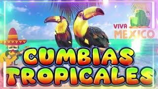 CUMBIAS TROPICALES 2023🍉CUMBIAS VIEJITAS TROPICAL 🌴 ACAPULCO TROPICALTROPICAL FLORIDALOS KARKIS [upl. by Lyrehs]