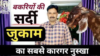 bakri me sardi ka ilaj बकरी की सर्दी जुकाम का ईलाज 100 bakrikisardi [upl. by Idleman]