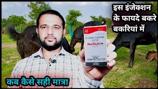 बकरे बकरियों को ये इंजेक्शन Melonex PlusMeloxicam and Paracetamol कौन सी बीमारियों में कब कैसे [upl. by Votaw]