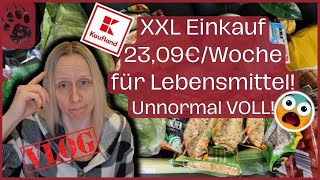 SPAREN extrem günstiger XXL Wocheneinkauf 2309€ 😱 Noch NIE erlebt foodhaul budgetplanung vlog [upl. by Marutani859]