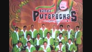 Banda PurepechasPuro Michoacan Sones con banda [upl. by Llednew]