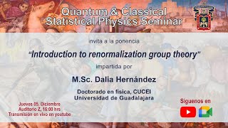 Introduction to renormalization group theory  MSc Dalia Hernandez [upl. by Otiv646]