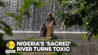 WION Climate Tracker  Nigeria Sacred river Osun battles pollution [upl. by Salazar]