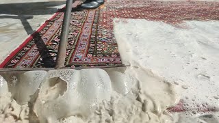 Washing the carpet Asmr [upl. by Ahseinar]