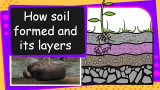 Science  Soil Formation and soil layers  English [upl. by Ajaj496]