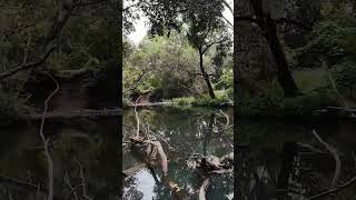 Kilcoy Creek dji avata2 dronefootage [upl. by Erinna931]