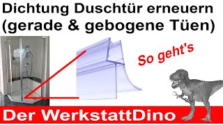 Duschtür Dichtung erneuern [upl. by Christis]