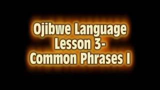 Ojibwe Language Lesson 3 Common Phrases I [upl. by Yanarp]