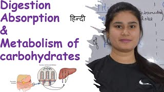 Carbohydrates  Digestion  Absorption  Metabolism [upl. by Anirac]